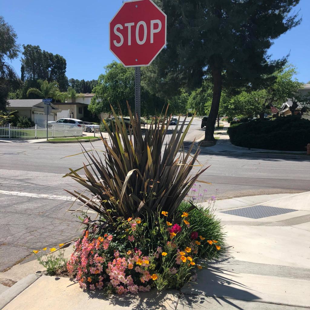 Santa Clarita Landscape Design Songbird Garden Design